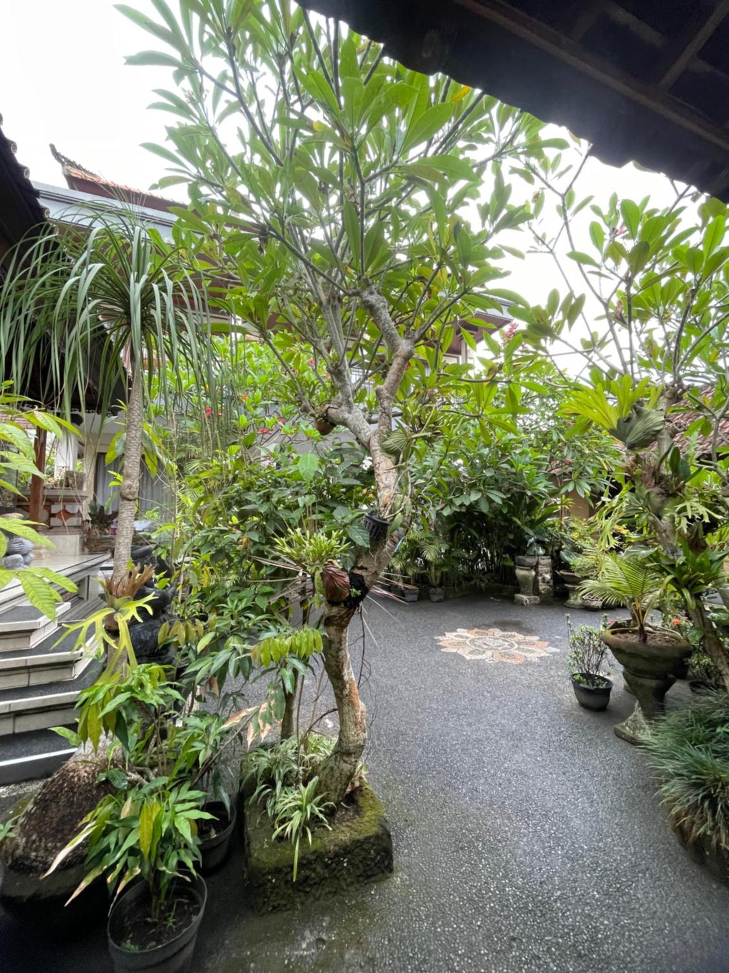 Suntari Homestay Ubud Zewnętrze zdjęcie